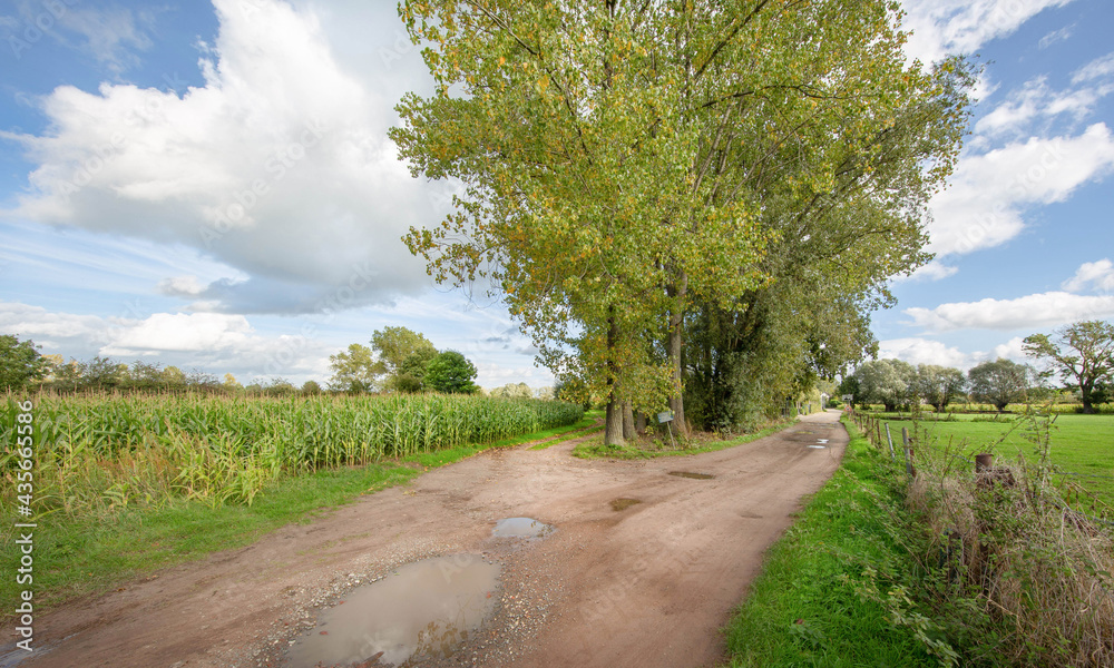 road in the countryside