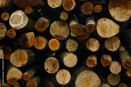 stack of firewood