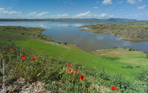 Fotografie, Obraz Sunny landscape with grass and poppies and Lake of Bin el Ouidane in High Atlas