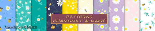 Chamomile, daisy, bee patterns. A big set of 10 seamless  floral patterns. Repeating spring endless background for textile, fabric, cloth, wallpaper. Design for children, kid and baby. Vector 