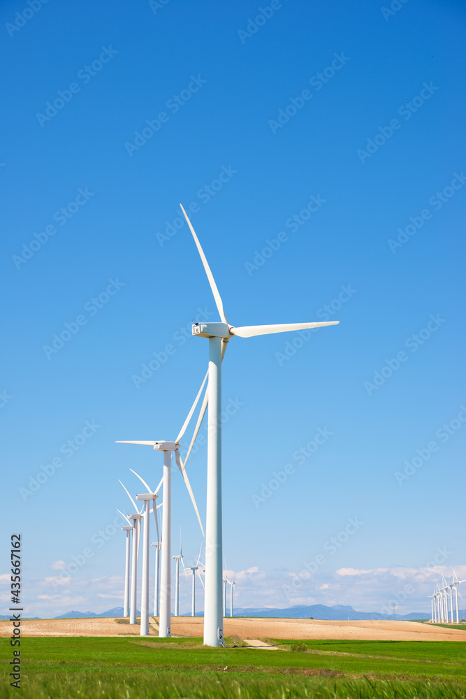Fototapeta premium Renewable energy concept view