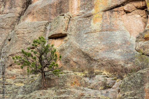 Detail of a steep rocky wall with green fir trees in the mountains. Paradise Cove or Guffey Gorge Park near Colorado Springs, Colorado photo