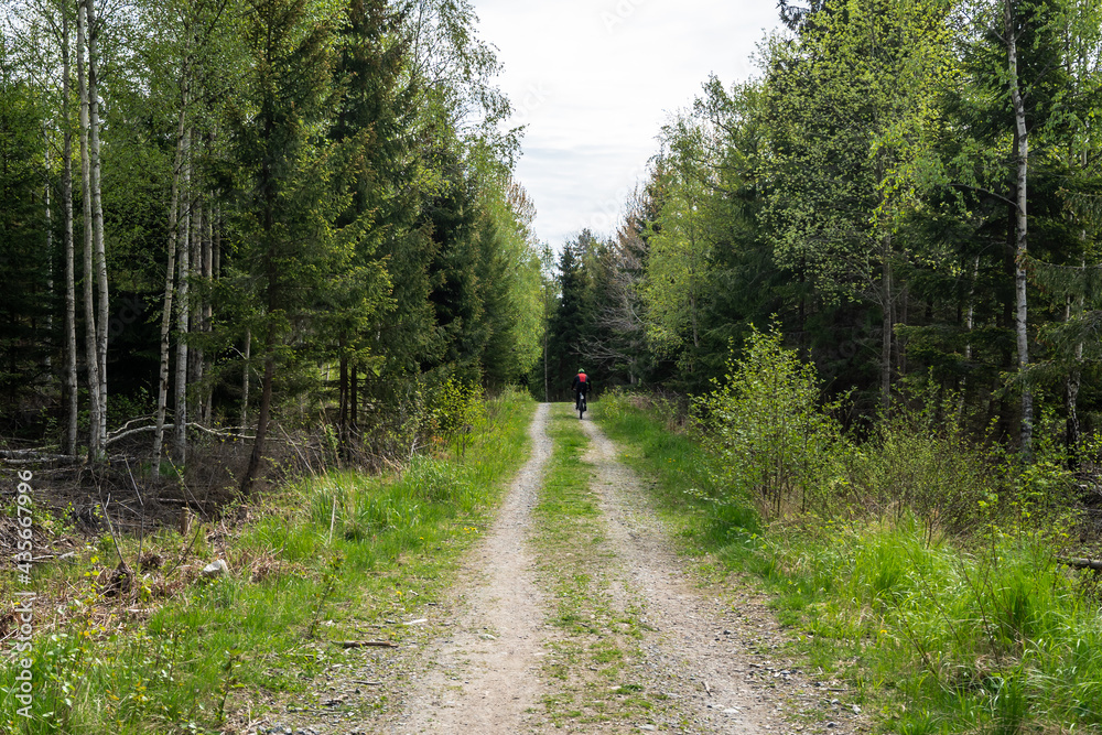 Man Cyclist on sport mountain bike on forest track. Male mountain bike racer cycling on trail with tree roots. Mountain biker rides in spring fresh air forest. Sports motivation and inspiration. Man Cyclist on sport mountain bike on forest track. Male mountain bike racer cycling on trail with tree roots. Mountain biker rides in spring fresh air forest. Sports motivation and inspiration.
