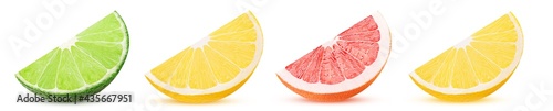 Citrus slices orange, lemon, lime, grapefruit