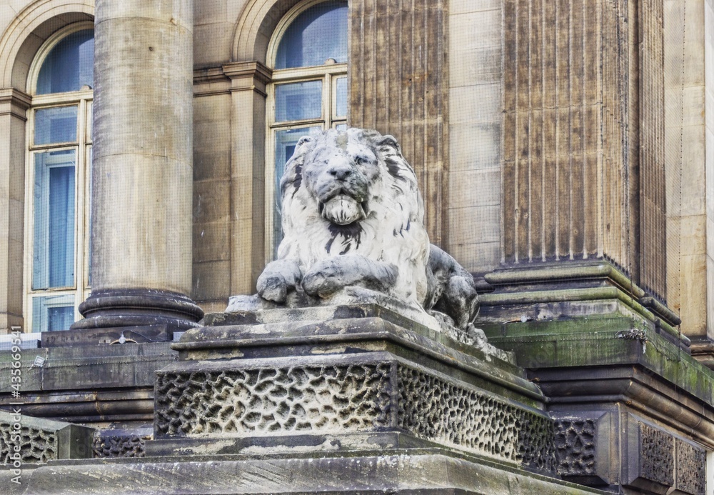 Lion Statue in Front of Leeds Town Hall - Photo of an Iconic Landmark