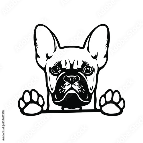 French bulldog head. Vector Cliipart. bulldog with glasses with paws