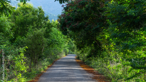 Western Ghats in Blue color in sathyamangalam  Tamil Nadu  India.