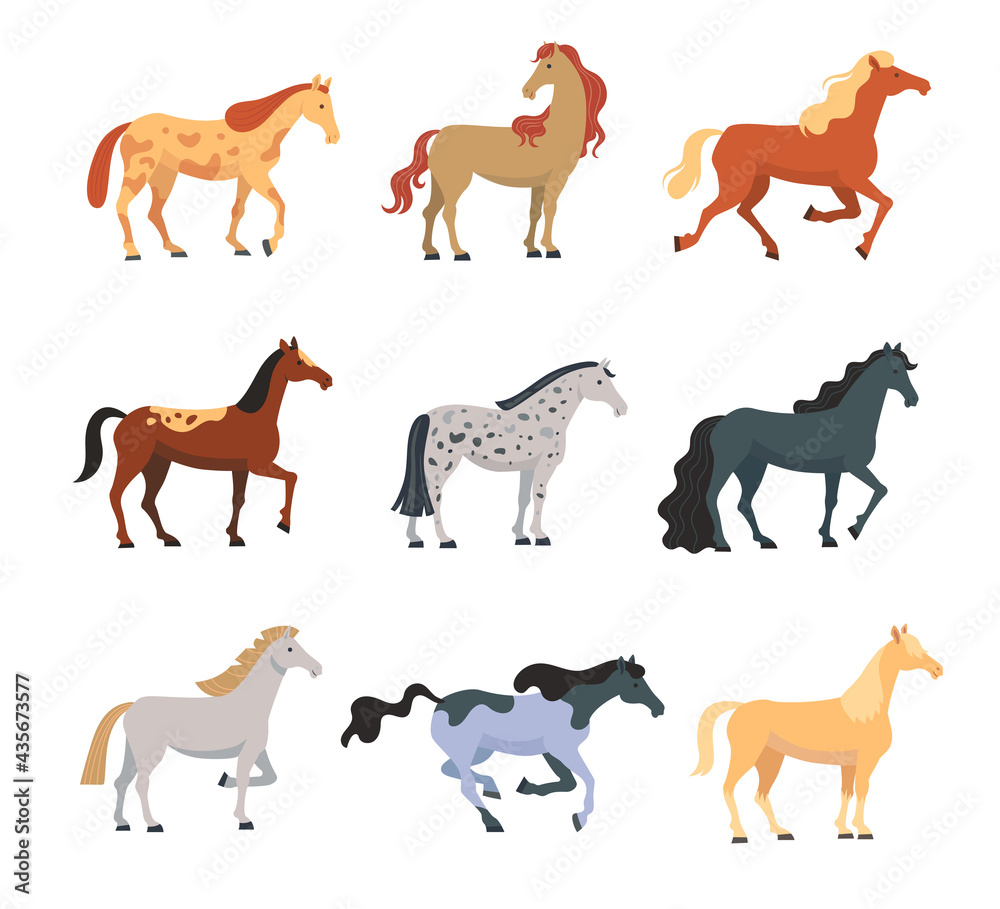 Different breeds of horses flat vector illustrations set. Colorful domestic animals, American mustangs standing and running isolated on white background. Nature, animals, farming, racing concept