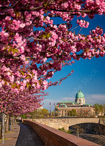 Amazing spring cityscape with Buda Castle Royal Palace in Buda Castle district