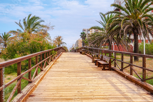 Wooden walkway  with benches and surrounded by trees and palm trees  on Gandia beach.