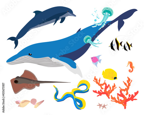Some of the sea and ocean inhabitats vector flat set EPS10