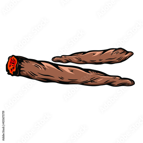 Cartoon lit 2 cigar . Isolated on white background. Vector icon.