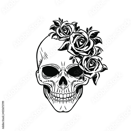 Skull half with roses. Vector illustration photo