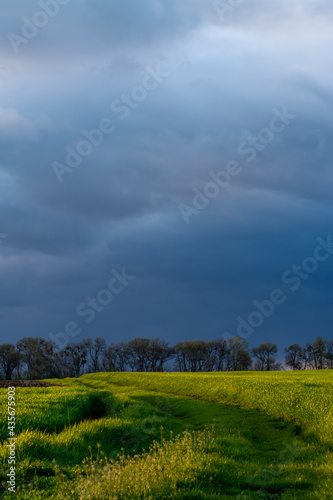 green field and sky © EvhKorn