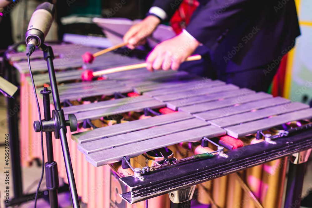 Xylophone concert view of vibraphone marimba player, mallets drum sticks, with a latin orchestra musical band performing in the background