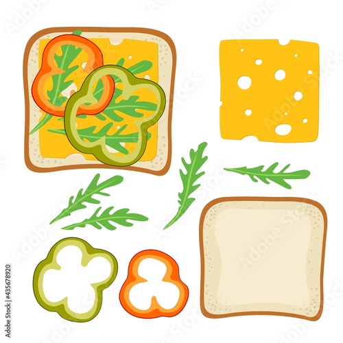 Sandwich Ingredients. Sandwich with paprika, cheese, arugula. Snack. Overhead view of isolated Breakfast snacks on toast vector flat. For menu, cafe, restaurant, poster, banner, emblem, sticker