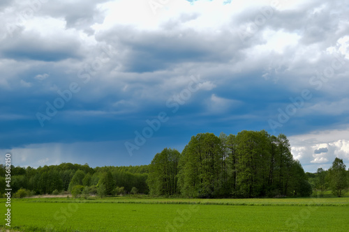 Fototapeta Naklejka Na Ścianę i Meble -  Chmury na niebie, drzewa i zielona trawa,