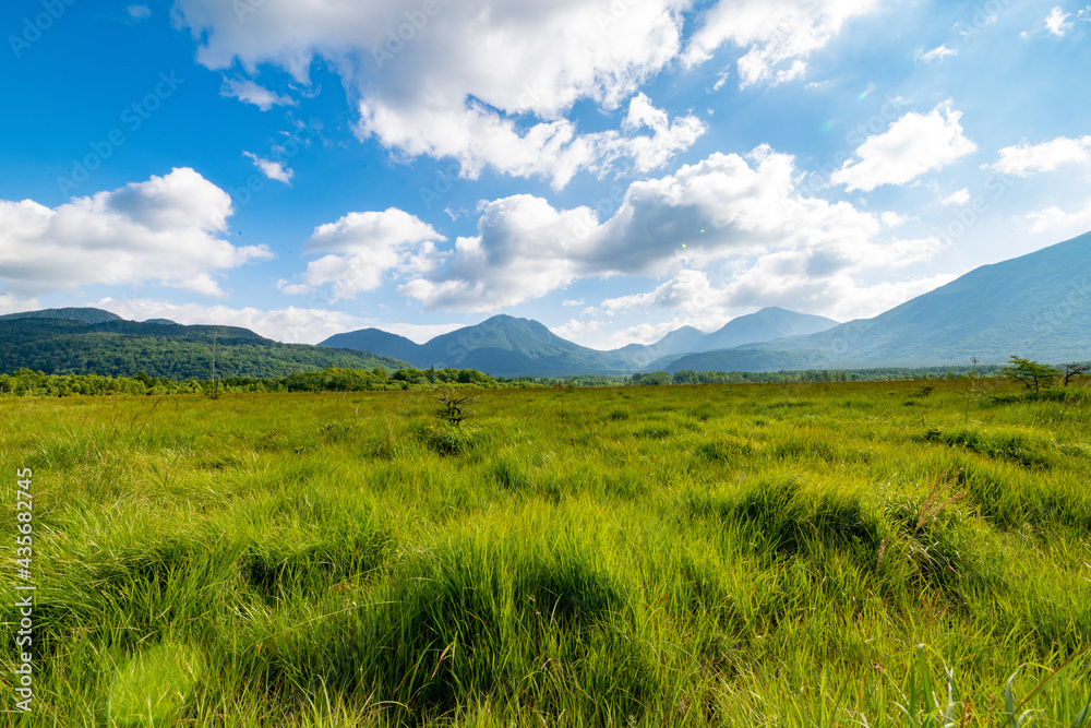 Senjougahara with green fields