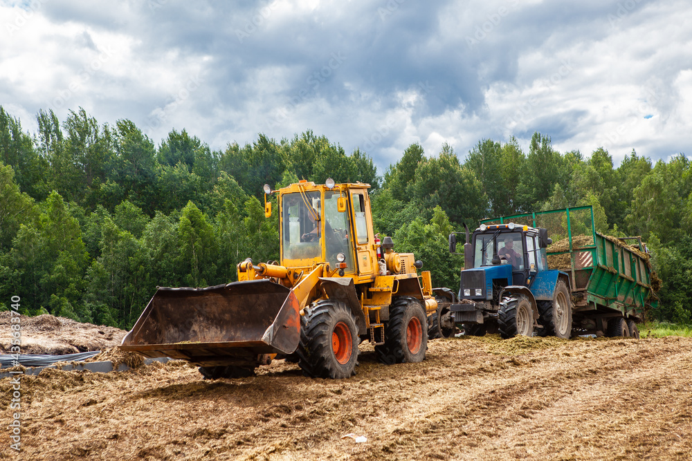 A bulldozer and a tractor compact the cut grass in a silage trench. A bulldozer and a tractor compact the cut grass in a silage trench.