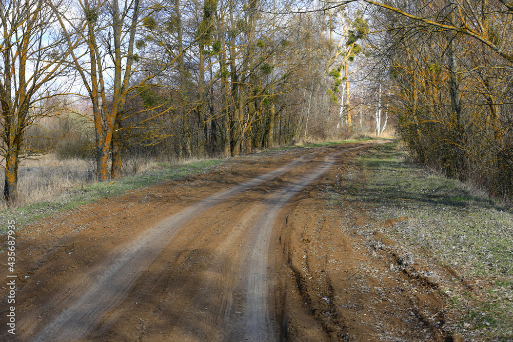 Fototapeta premium dirt road in spring grove