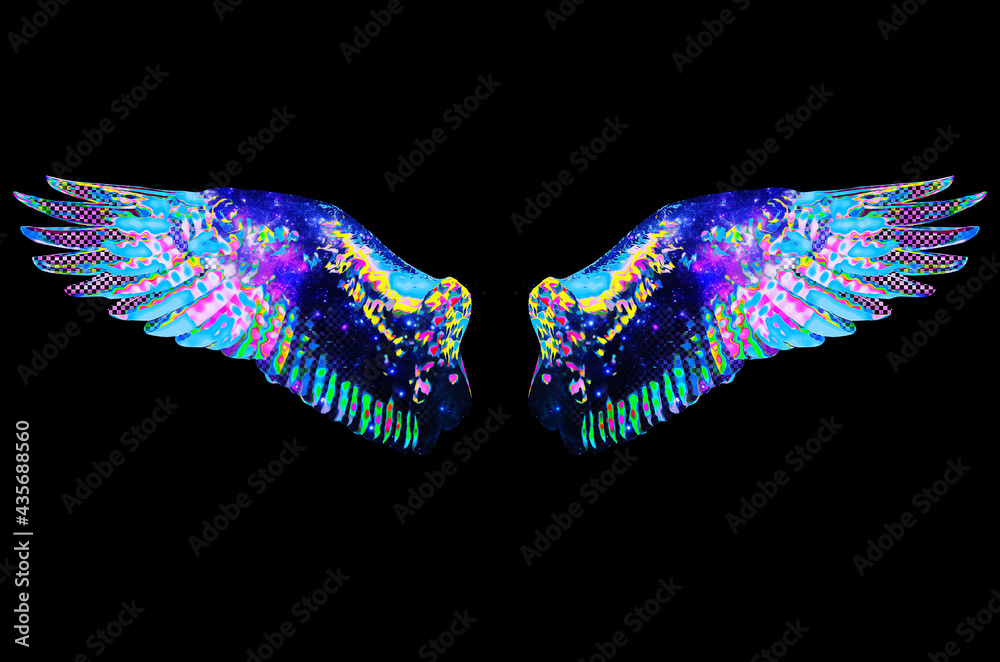 Fototapeta premium colorful wings