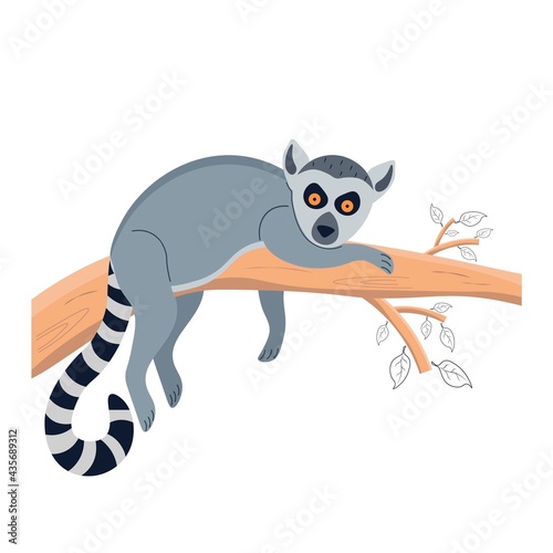 Lemur on a tree. Animal lies on a tree. Character for a childrens poster  postcard  decor. Vector illustration on isolated background.