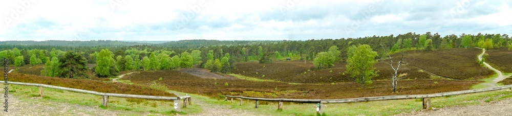 Brunsberg in the Nordheide in the district of Harburg in Lower Saxony Germany Brunsberg in the Nordheide in the district of Harburg in Lower Saxony Germany