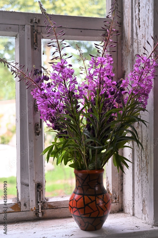 beautiful bouquet summer flowers of Ivan-tea or blooming Sally. Medicinal plant willow-grass in vase onwindowsill in village house. Wildflowers