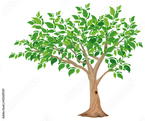 isolated green tree on white background vector design