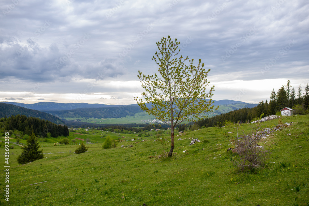 Obraz premium Landscapes on Vlasic mountain.Vlasic,Bosnia and Herzeogvina.Vlasic is the Top Winter Destination in Central Bosnia.