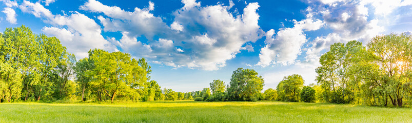 Fototapete Pantone 2025 Mocha Mousse Idyllische Berglandschaft mit frischen grünen Wiesen und blühenden Wildblumen. Idyllische Naturlandschaftsansicht, ländliche Naturansicht im Freien. idyllische Bannernatur, panoramische Frühlingssommerlandschaft  © icemanphotos