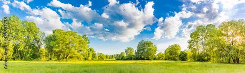 Panel kuchenny z motywem Idyllic mountain landscape with fresh green meadows and blooming wildflowers. Idyllic nature countryside view, rural outdoor natural view. idyllic banner nature, panoramic spring summer scenery