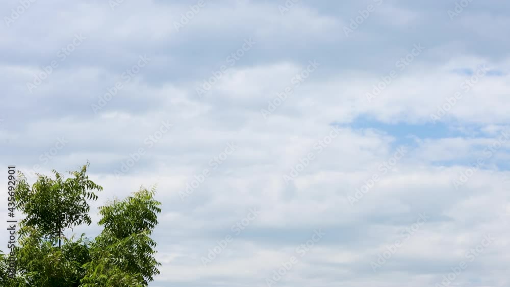 Beautiful clean cloudy sky above the neem tree Beautiful clean cloudy sky above the neem tree