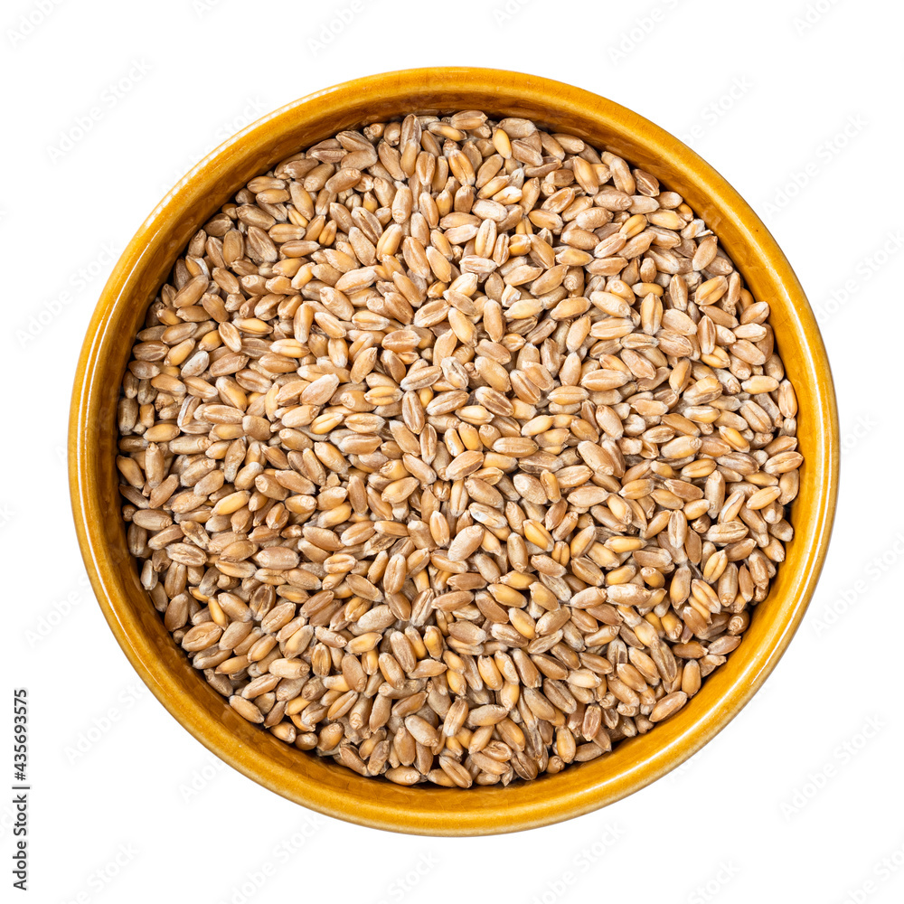 wholegrain wheat grains in round bowl cutout wholegrain wheat grains in round bowl cutout