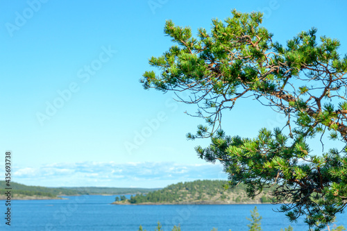 Fototapeta Naklejka Na Ścianę i Meble -  Rocky islands of Lake Ladoga in summer.