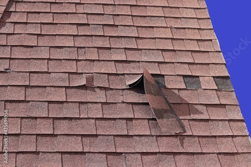 Roof Shingle Damage