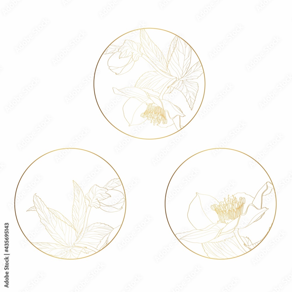 Feminine logo design templates in trendy linear minimal style. 
Anemone flowers. Emblem, symbols and icons for cosmetics, jewellery, beauty and handmade products.