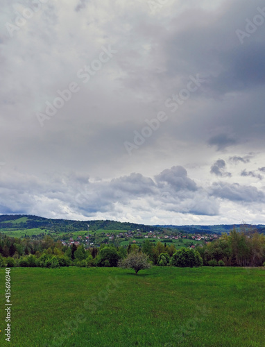 Vertical shot of landscape view of Polish mountains with a tree at the center of a huge green meadow during overcast cloud located in the region of Beskid Wyspowy in town of Rabka Zaryte   Poland