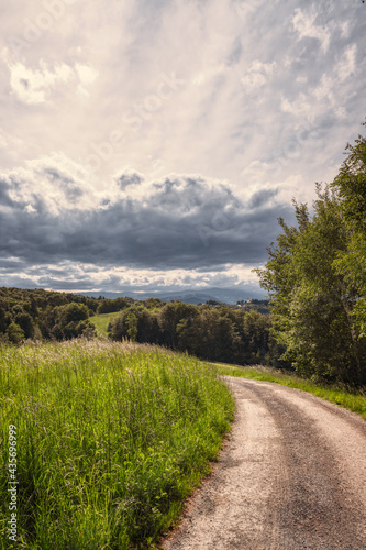 Inviting rural road, summer landscape with cloudy sky