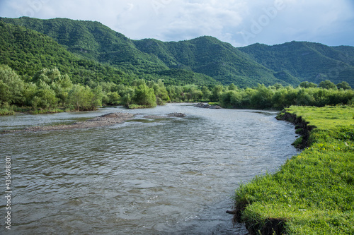 river going to the woods photo