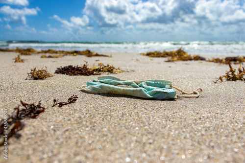 Surgical Mask Thrown on the Beach Among Seaweed