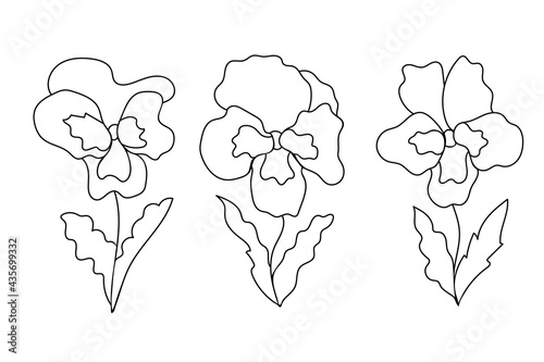 Doodle style pansy flowers set. Hand-drawn cute botanical illustration for postcards, stickers design. Vector illustration isolated on white background.