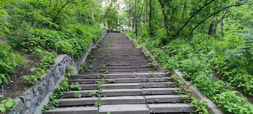 Obraz premium stairway to heaven