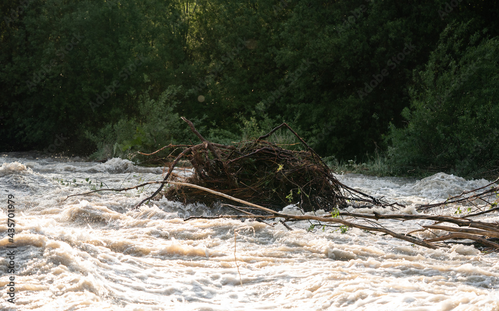Obraz premium Sun shines on dirty flood water flowing rapidly in river, taking some small trees with roots