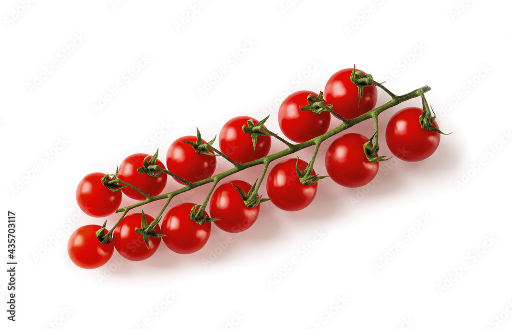 Ripe red cherry tomatoes on the vine isolated on white background. Juicy organic cherry tomatoes on a green branch close-up. Tasty vegetables, vegetarian and healthy eating. Macro. Ripe red cherry tomatoes on the vine isolated on white background. Juicy organic cherry tomatoes on a green branch close-up. Tasty vegetables, vegetarian and healthy eating. Macro.