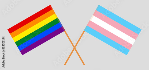 Crossed flags of LGBTQ and Transgender Pride. Official colors. Correct proportion