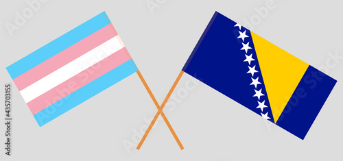 Crossed flags of Transgender Pride and Bosnia and Herzegovina. Official colors. Correct proportion