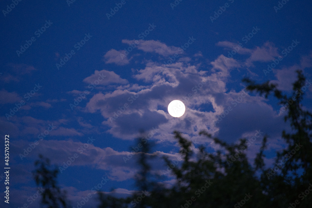 Beautiful full moon with cloudy sky background and blurry branches in the foreground. Photo taken May 25th, 2021, Zurich, Switzerland. Beautiful full moon with cloudy sky background and blurry branches in the foreground. Photo taken May 25th, 2021, Zurich, Switzerland.