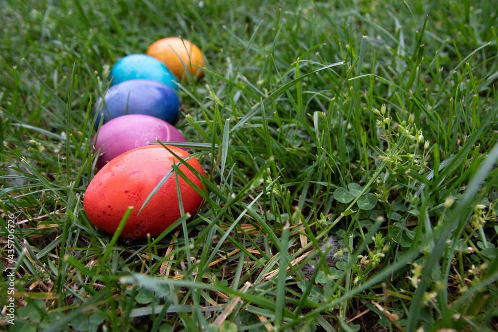 Colored Easter eggs on  grass
