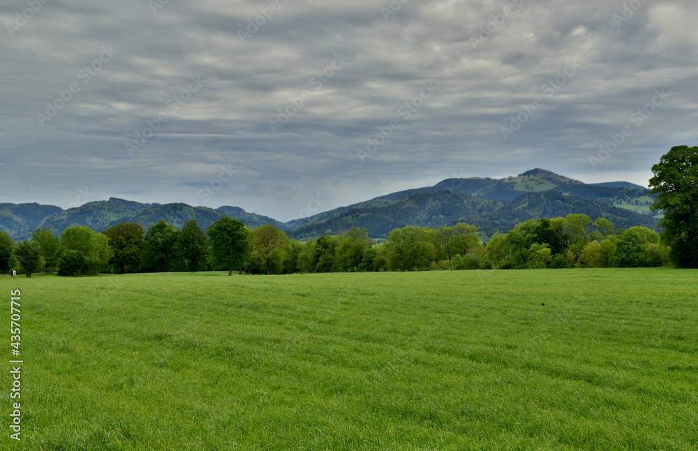 Frühlingslandschaft im Dreisamtal bei Freiburg